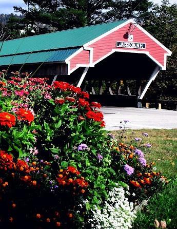 Covered Bridge River View Lodge (Adults Only) Jackson Buitenkant foto